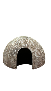 Mejor Producto de Exportación: Media Concha de Coco, Ideal para Terrarios, Roedores, Anfibios, Lagartos, Serpientes, Ranas. Fabricación en Sri Lanka. - Product Image 2