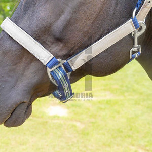 Correa de Cabeza para Caballo Suave, Arnés, Accesorios de Equitación, Nuevo Collar de Cabeza para Montar de Alexandria Industries - Product Image 3
