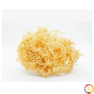 Seamoss สาหร่ายทะเลธรรมชาติแบบแห้ง Eucheuma cottonii วัตถุดิบจำนวนมากสำหรับใช้ทำอาหารส่งออกจากประเทศเวียดนาม - Product Image 2