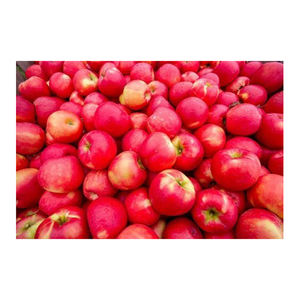 Quality Fresh Natural <b>Golden</b> Delicious Apples New <b>Crop</b> Grade <b>Top</b> South Africa 8.5kg - Product Image 3