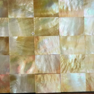 Plaque de coquille de nacre en gros | Coquilles décoratives polies, qualité d'exportation, service d'OEM - Product Image 5