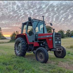 Tractor Agrícola Massey Ferguson (MF260) con Motor - Product Image 4