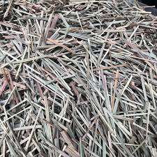 VIETNAMESE <b>DRIED</b> HERBS <b>LEMONGRASS</b> AT BEST PRICE - Product Image 4