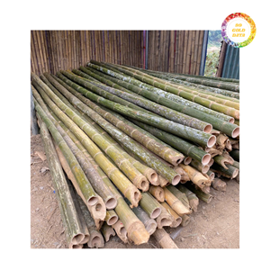 เสาไม้ไผ่ที่ทนทานสำหรับโครงการกลางแจ้งและการตกแต่งด้วยผิวเรียบและราคาที่ยอดเยี่ยมสำหรับการสั่งซื้อจำนวนมาก - Product Image 1