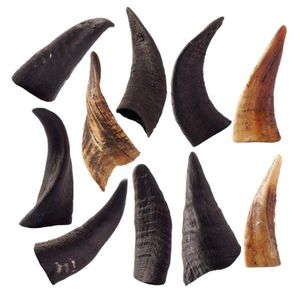 Customizable Size Natural Goat Horn Dog Chews Sustainable Crafted Pet Food with Bulk Accurate Sizing Options for Daily Use - Product Image 3