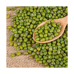 Vigna haricots mungo prix bon marché vente en gros approvisionnement en vrac prêt à l'exportation - Product Image 3