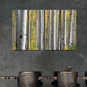 งานศิลปะบนผ้าใบพิมพ์ลายสวยงาม: ป่าเบิร์ชโกรฟ, 4P: ห่อหุ้มอย่างดี - Product Image 1