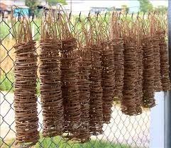 ส่งออกด้ามจับถ้วยไม้ไผ่ที่ทนทานสูงในราคาที่แข่งขันได้ - Product Image 5