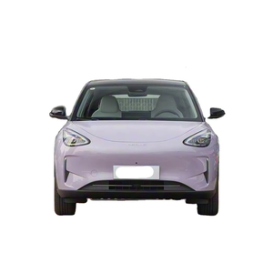 Vehículo Eléctrico Pequeño 2026, 5 Puertas, 5 Asientos, Nueva Energía, con Autonomía de 410 km, Edición Explorer - Product Image 1