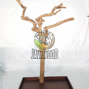 Bâtons à griffes de haute qualité pour perroquets de compagnie avec perchoirs à oiseaux en bois massif taille L au meilleur prix d'Indonésie - Product Image 1