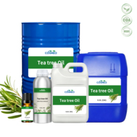 Supplier Pabrik 100% Minyak Pohon Teh Australia Murni Alami Segar Premium (Melaleuca Alternifolia) untuk Pembersihan Kulit & Perawatan Rambut