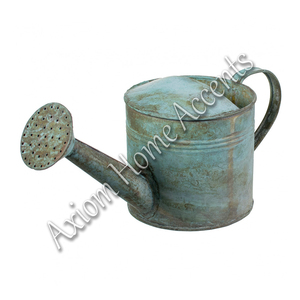 Regadera de acero pulido Diseño contemporáneo para el hogar y el jardín por Axiom Home Accents - Product Image 1