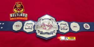 Ceinture de championnat de lutte mondiale poids lourd TNA, taille adulte, en zinc 2 mm 4 mm - Product Image 3