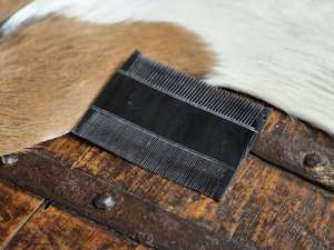 Peine artesanal de cuerno natural The Craft Exim con grabado a mano para el cuidado diario del cabello, ideal para un cabello suave, hecho en India. - Product Image 5