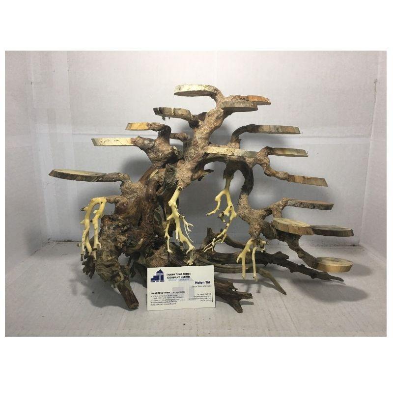 ธรรมชาติ