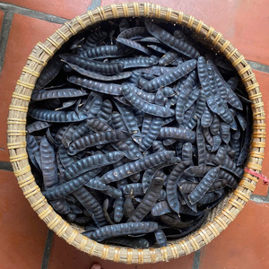 Sun-Sấy Honeyed locusts chất lượng hàng đầu giá rẻ giá khô Đen <span class=keywords><strong>Locust</strong></span> hạt giống từ Việt Nam trang trại cho bán buôn - Product Image 4
