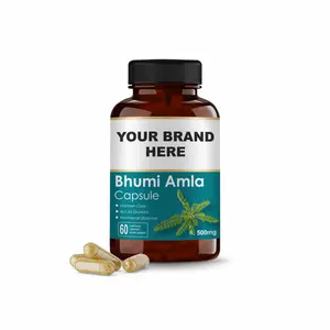 100% Plantaardig Supplement Bhoomi Amla Capsules | Bhumi Supplementen | Reiniging & Detox | Rijke Bron Van Vitamine C