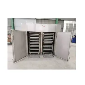 Drying Equipment High Precision Industrial Tray Dryer with 12 Tray Capacity Available at Affordable Price