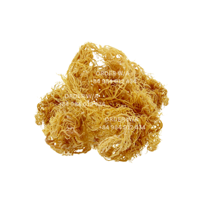 Découvrez la différence avec Wildcrafted Golden Irish Sea Moss: 100% naturel, pur et abordable pour une santé optimale - Product Image 2
