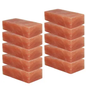 100% 天然批发制造商PAK SALROSA & CO Room时尚瓷砖喜马拉雅粉色盐砖