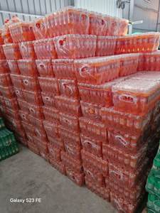 Refresco Original Fannta 330ml, Todos los Sabores, Naranja Exótica, Limón, Mandarina, Bebidas Carbonatadas, En Stock, Entrega Rápida y Gratuita, Comprar Ahora. - Product Image 6