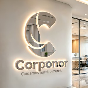 Insegna Luminosa Personalizzata in Acciaio Inox Dorato con Logo Retroilluminato a LED, Lettere Canalizzate Illuminate per Uffici e Reception - Product Image 5