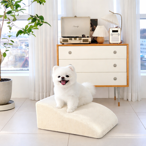 [AllmioPet] Escalier pour animaux de compagnie en tissu nuage, 2 marches, ivoire, mousse souple, marchepied pour chien et chat, pour canapé, lit, soin des articulations, utilisation en intérieur - Product Image 2