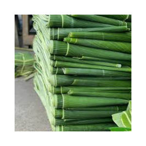 Feuilles de bananier congelées propres et fraîches pour les aliments traditionnels Tamales Hallacas - Product Image 1