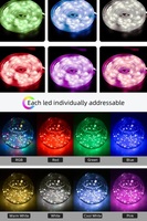 Guirnalda de Luces LED Inteligentes de Cuero, Resistentes al Agua, para Decoración Navideña, Control Remoto por Aplicación, WS2811, DC5V 12V