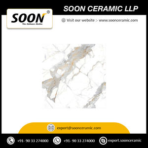 Carreaux de sol en porcelaine polie de haute qualité 600x600 Gvt/Pgvt pour la maison Carreaux vitrifiés émaillés Carreaux de 2x2 pouces - Product Image 3