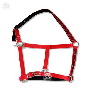 Vente en gros de licous en nylon avec corde de plomb assortie toutes les couleurs avec raccords SS gravure sur sangle vente en gros - Product Image 2