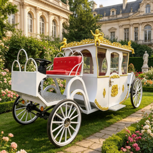 Carruaje Real Personalizado para Bodas: Económico, Romántico y con un Atractivo Visual Impresionante - Product Image 2