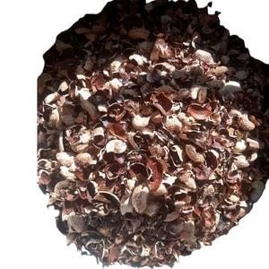 Anacardos en venta de 1 - 10 mm tamaño natural al por mayor cáscara de anacardos crudos de Vietnam para exportación - Product Image 1