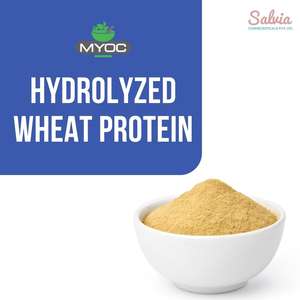Myoc Hydrolyzed <b>Wheat</b> Protein, Cosmetic Grade Raw Material, Bulk Quantity, Available in All the Sizes - Product Image 2