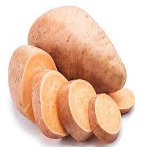 Orange-Fleshed Nutrient Rich Sweet <b>Potato</b> Available atModerate Prices - Product Image 2
