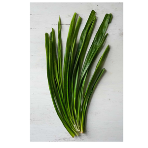 ใบสกรูแช่แข็ง7-8ออนซ์ขายส่ง - Product Image 5