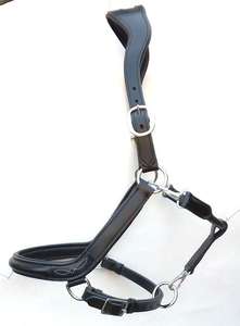 Cabestro inglés de cuero para equipo de caballo de calidad superior con cabestro de caballo acolchado de cuero suave a un precio atractivo - Product Image 2