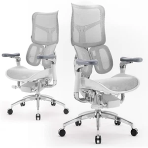 Neuer SIHOOs Doro S300 Ergonomischer Bürostuhl, Ganzkörper-Koordinierte Unterstützung - Product Image 1