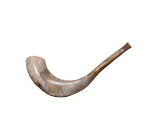Shofar en corne de mouton naturelle de haute qualité, best-seller, pour usage religieux, taille personnalisée, casher, poli, Marco Enterprises - Product Image 1
