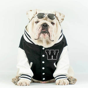 Vente chaude en gros chien à capuche multicolore confortable coton vêtements pour animaux de compagnie pour le printemps séchage rapide et respirant vêtements d'hiver - Product Image 1