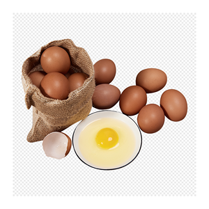 Yema de huevo dorada natural Productos de huevo premium a la venta - Product Image 5