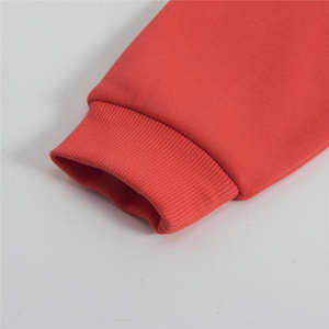 Mode 100% coton tissu lourd couleur unie strass personnalisé hommes épais surdimensionné à capuche - Product Image 3