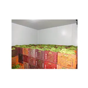 Customized Fruit And Vegetable Banana Ripening Cold Storage Room Ripening Chamber 15X10X10ft3 for Sale