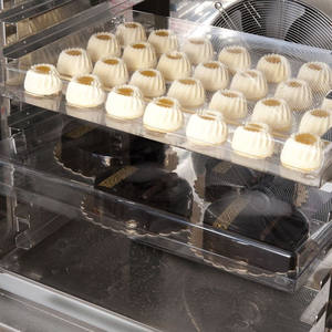 Total IGloo Plateau de présentation transparent et jeu de couvercles 60x40H5, 5 cm pour rangement - Product Image 2