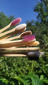 Vente chaude 2025 brosse à dents en bambou biodégradable poils doux infusés de charbon de bois voyage sans plastique antibactérien écologique - Product Image 2