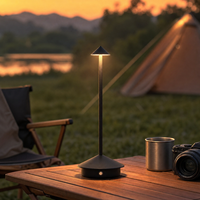 Lampe de table LED sans fil moderne, corps en aluminium, commande tactile, intensité réglable, batterie rechargeable, protection des yeux, écologique
