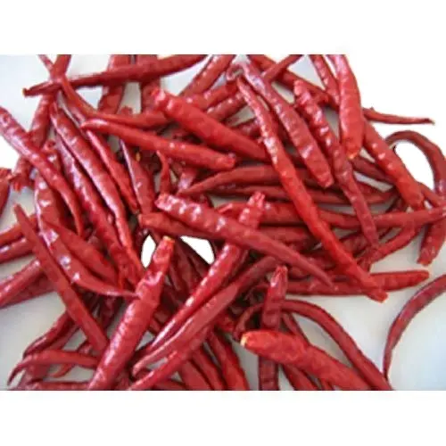 Kualitas Premium Indian Teja red chilli tanpa batang dengan harga terbaik