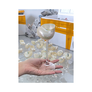 ถ้วยหอยสังข์เปลือกหอยธรรมชาติสำหรับขายส่งและตลาดค้าปลีกเพื่อการส่งออก - Product Image 1