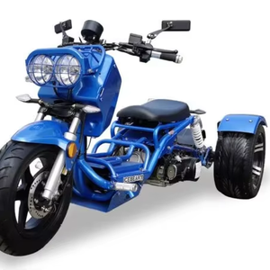 Tricycle prêt à être expédié, moteur monocylindre 150cc 4 temps, vitesse maximale >80 km/h - Product Image 1