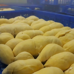 Fruta de Durian Fresca Congelada (LQF) de Vietnam, Precio Competitivo, Fruta Entera, Exportación a Granel, Estándar de Cartón, Fruta Congelada Dulce - Product Image 1